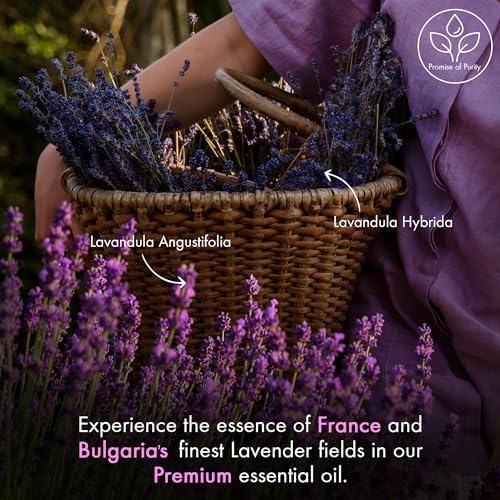 Royal Vita® Lavendel Ätherisches Öl mit Glas-Dropper